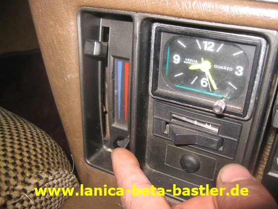IMG_6556 IMG_6556