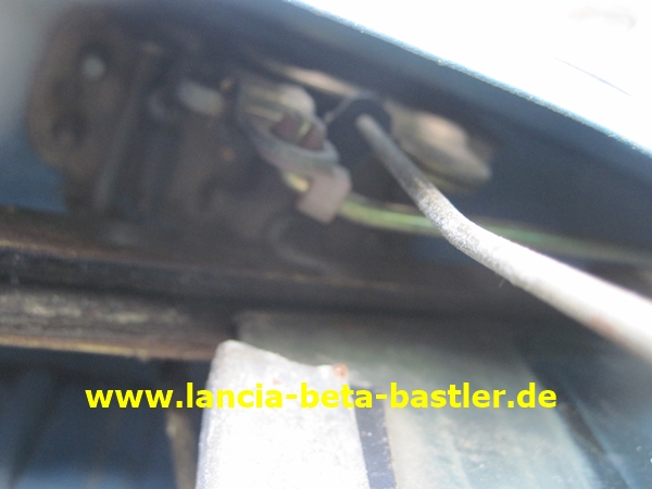 IMG_6562 IMG_6562