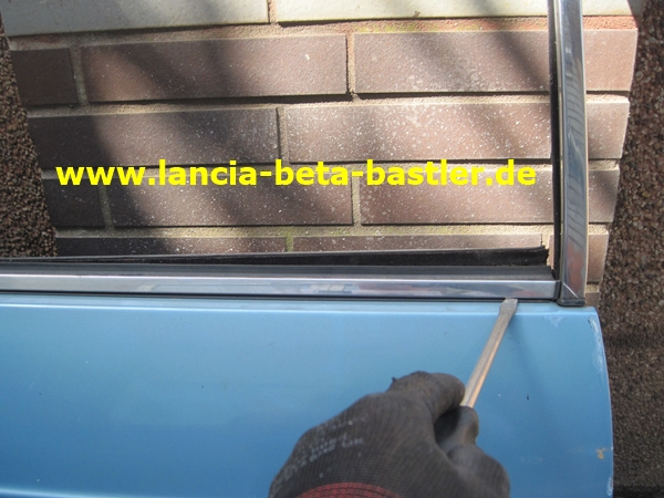 IMG_6625 IMG_6625