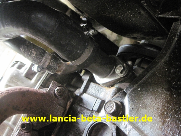 IMG_7055 IMG_7055