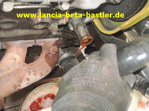 IMG_7080 IMG_7080