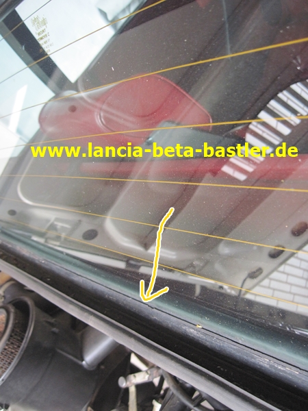 IMG_7084 IMG_7084