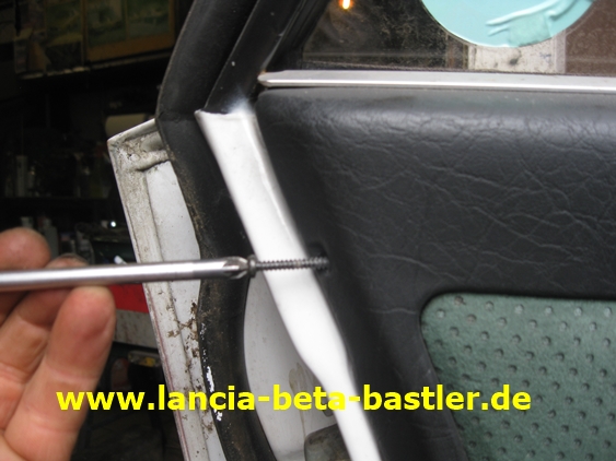 IMG_7225 IMG_7225