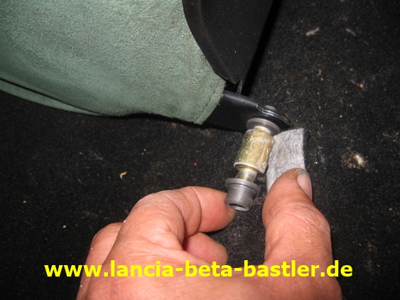 IMG_7240 IMG_7240