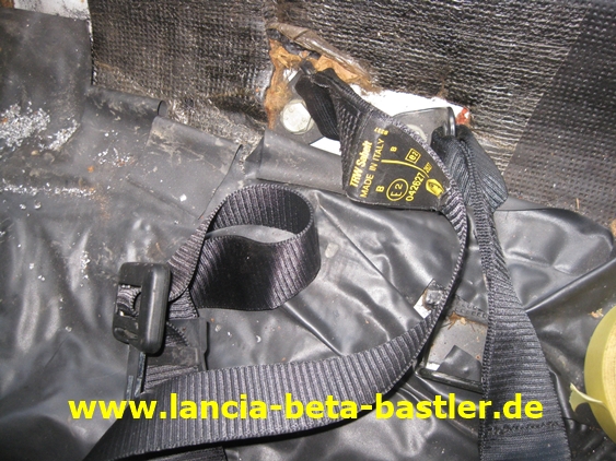 IMG_7247 IMG_7247