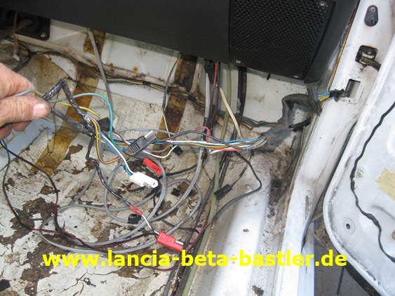 IMG_7408 IMG_7408