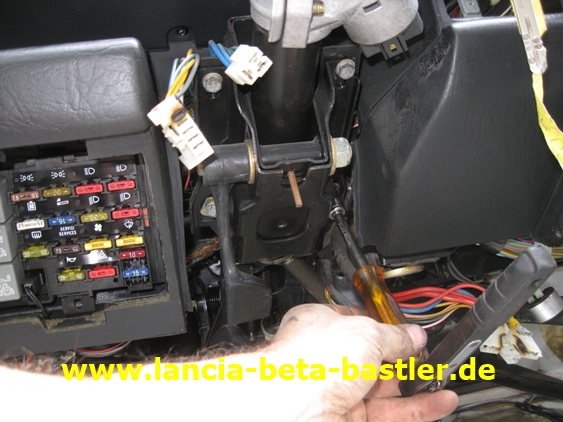 IMG_7445 IMG_7445