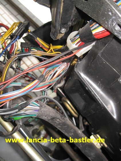 IMG_7449 IMG_7449