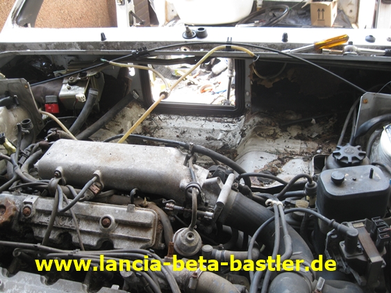 IMG_7479 IMG_7479