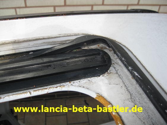 IMG_7520 IMG_7520