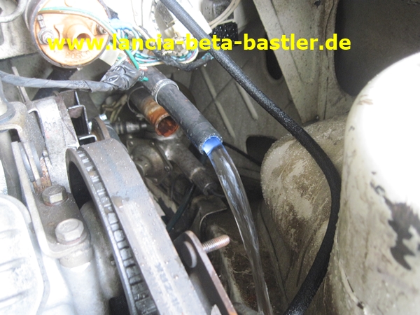 IMG_7529 IMG_7529