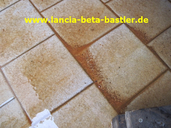 IMG_7539 IMG_7539