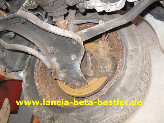 IMG_7558 IMG_7558