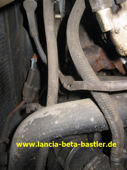 IMG_7654 IMG_7654