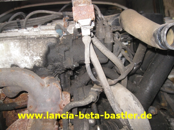 IMG_7657 IMG_7657
