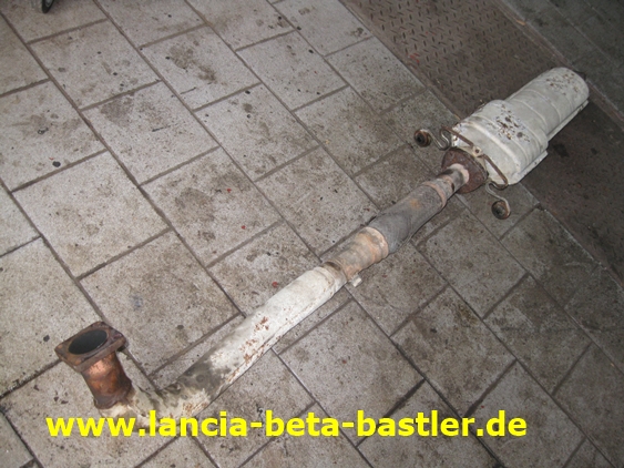 IMG_7722 IMG_7722
