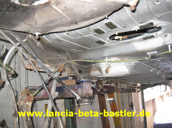 IMG_7764 IMG_7764