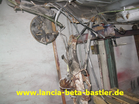 IMG_7766 IMG_7766