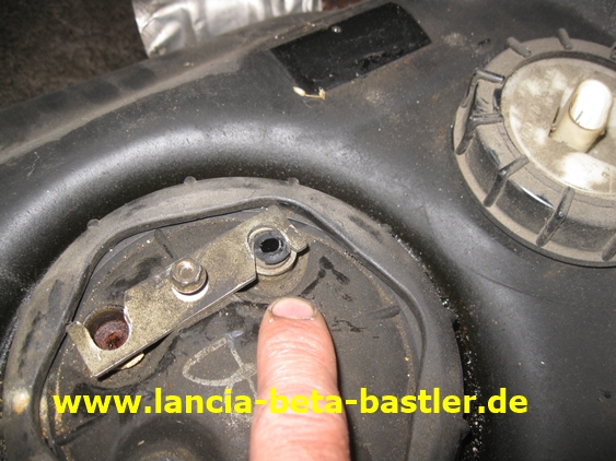 IMG_7770 IMG_7770