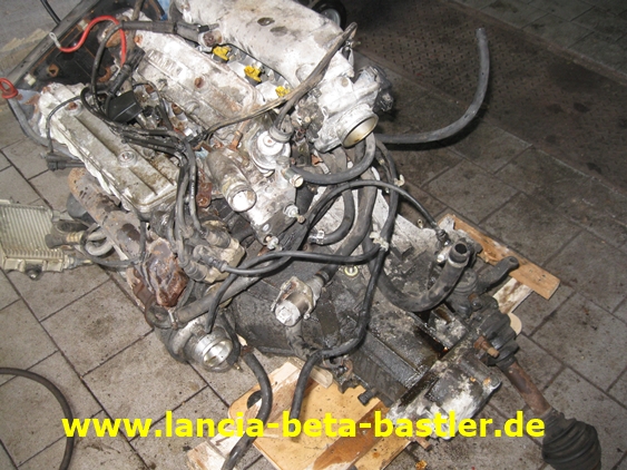 IMG_7786 IMG_7786