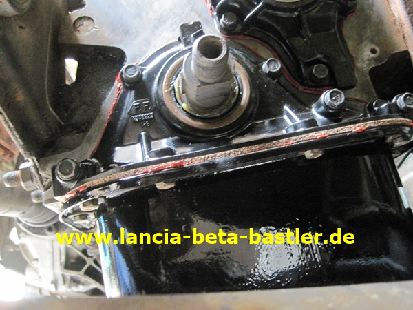 IMG_7890 IMG_7890