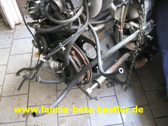 IMG_7996 IMG_7996