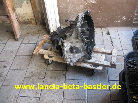 IMG_8007 IMG_8007