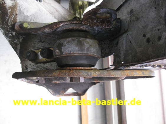 IMG_8071 IMG_8071