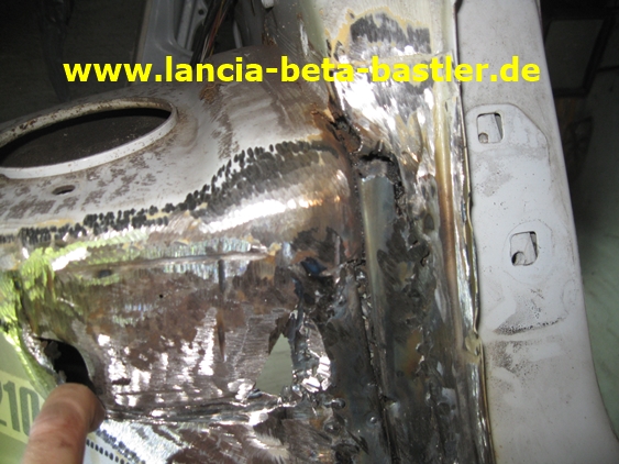 IMG_8650 IMG_8650