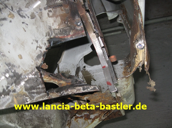 IMG_8703 IMG_8703