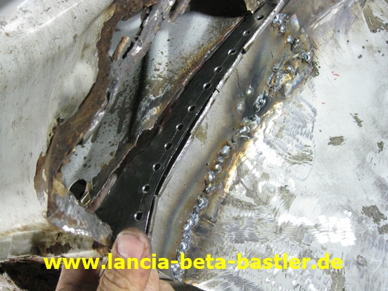 IMG_8813 IMG_8813