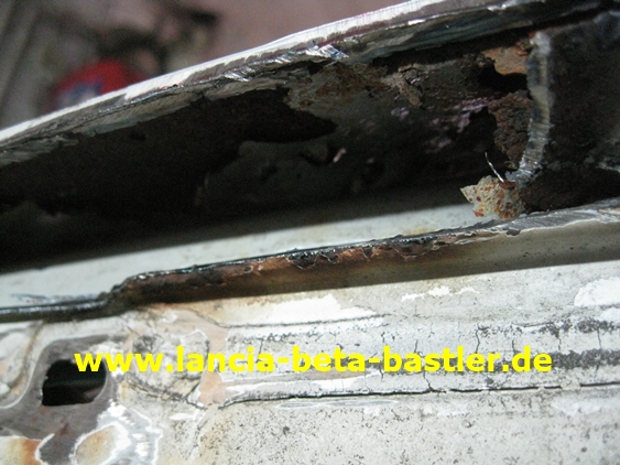 IMG_8975 IMG_8975