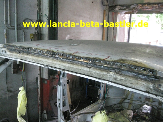 IMG_8990 IMG_8990