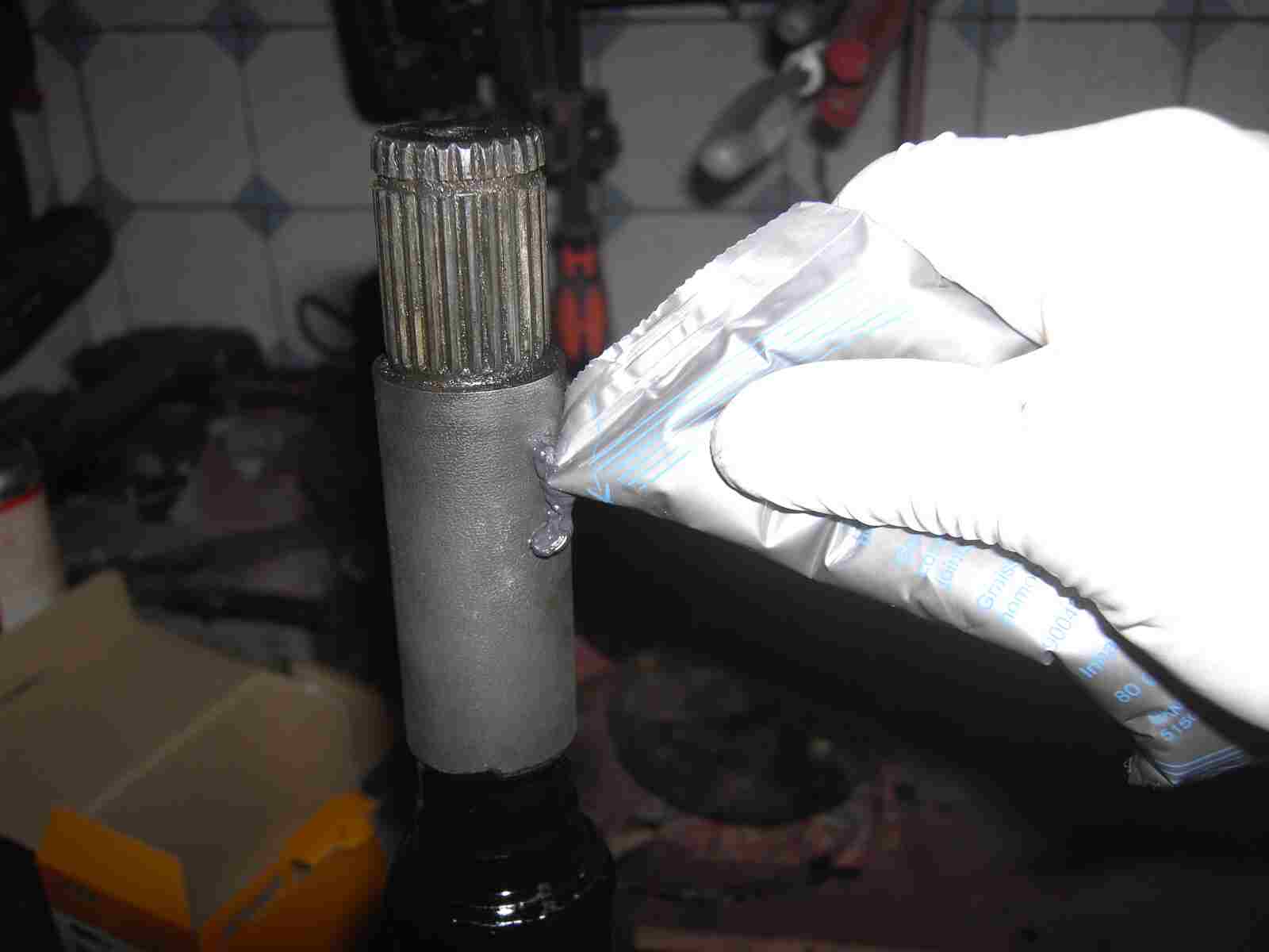 PICT5554 PICT5554