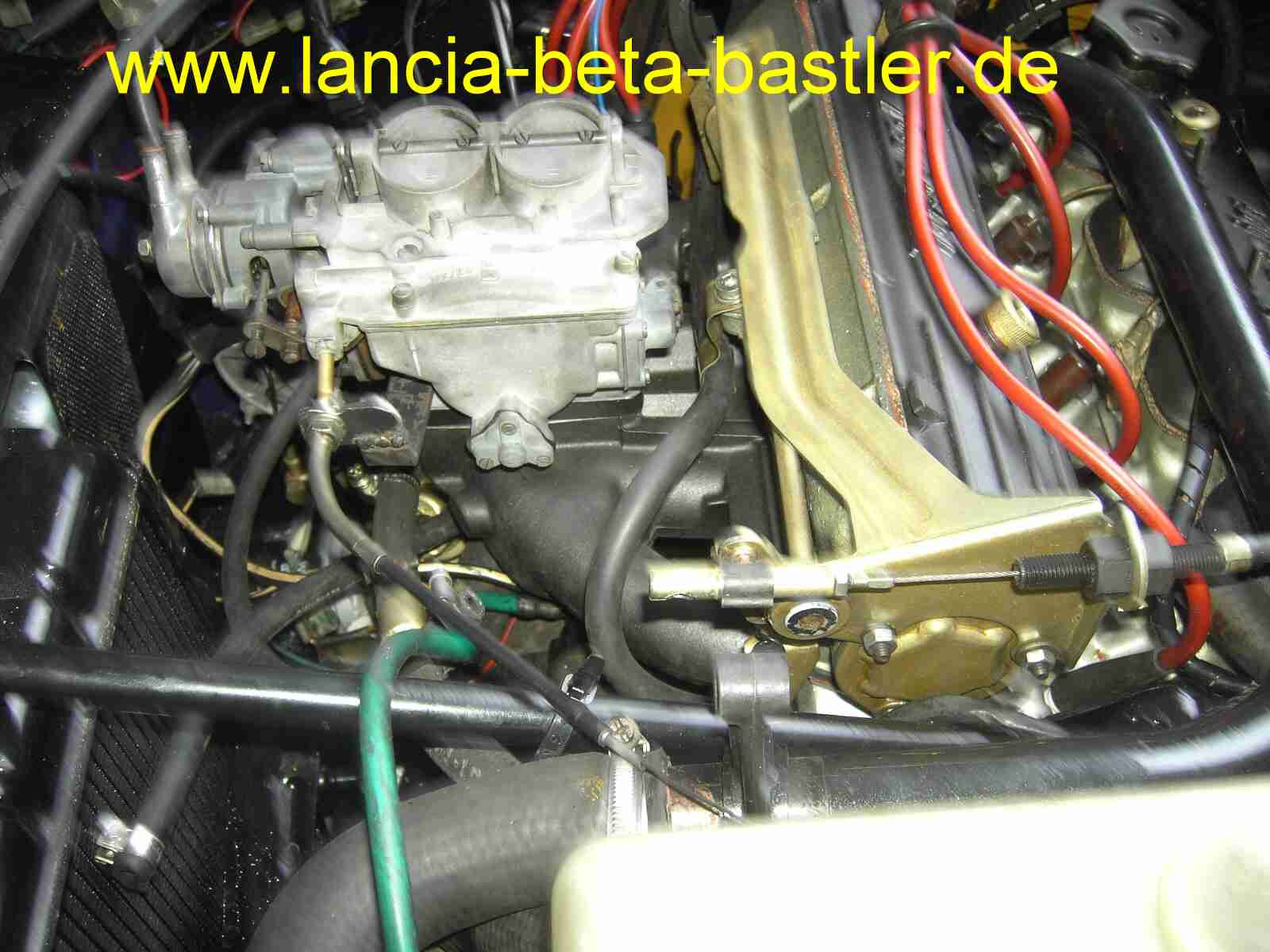 PICT7833 PICT7833