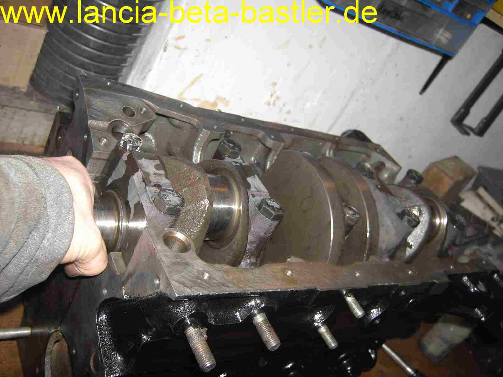 PICT9772 PICT9772