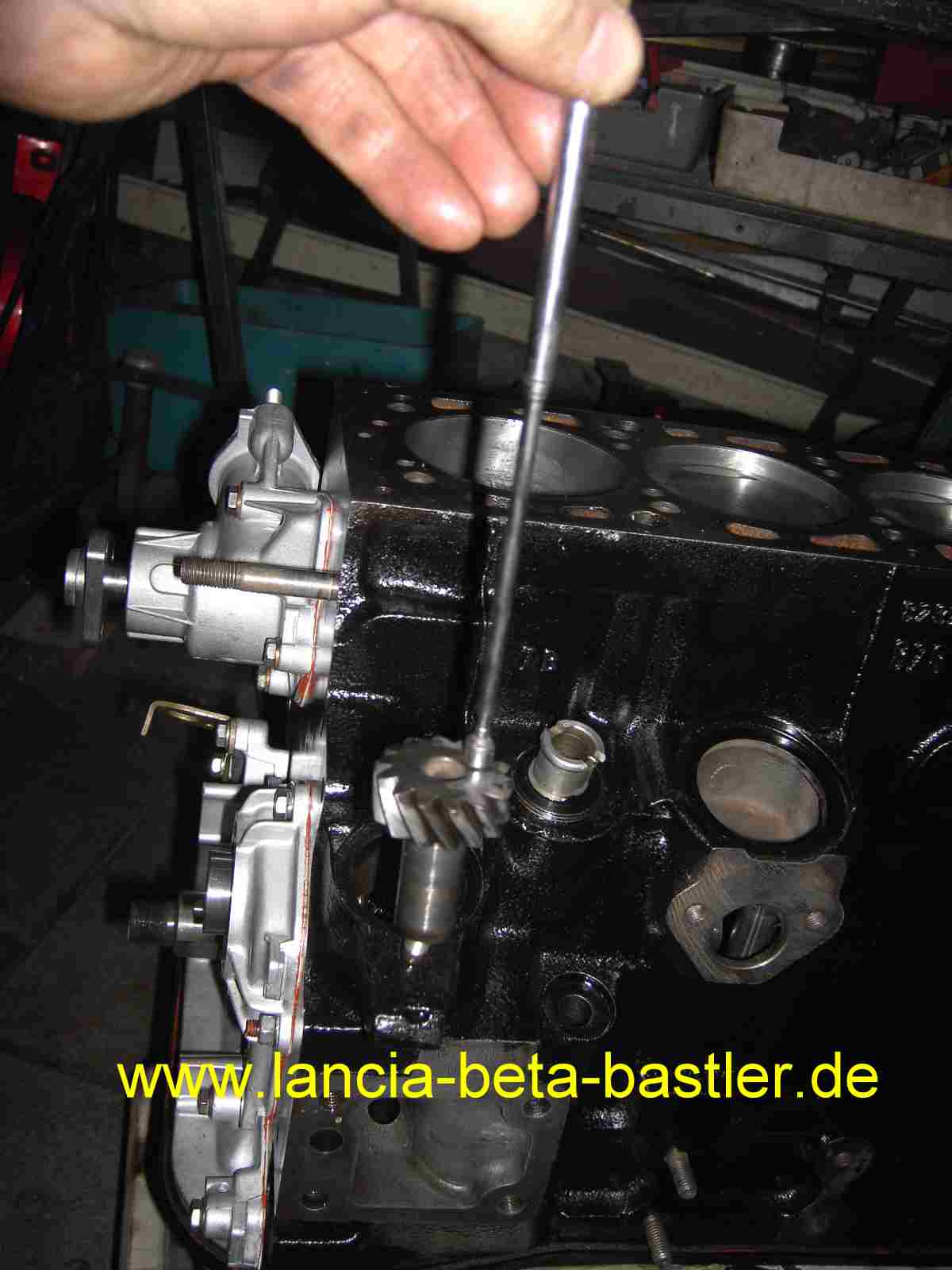 PICT9967 PICT9967
