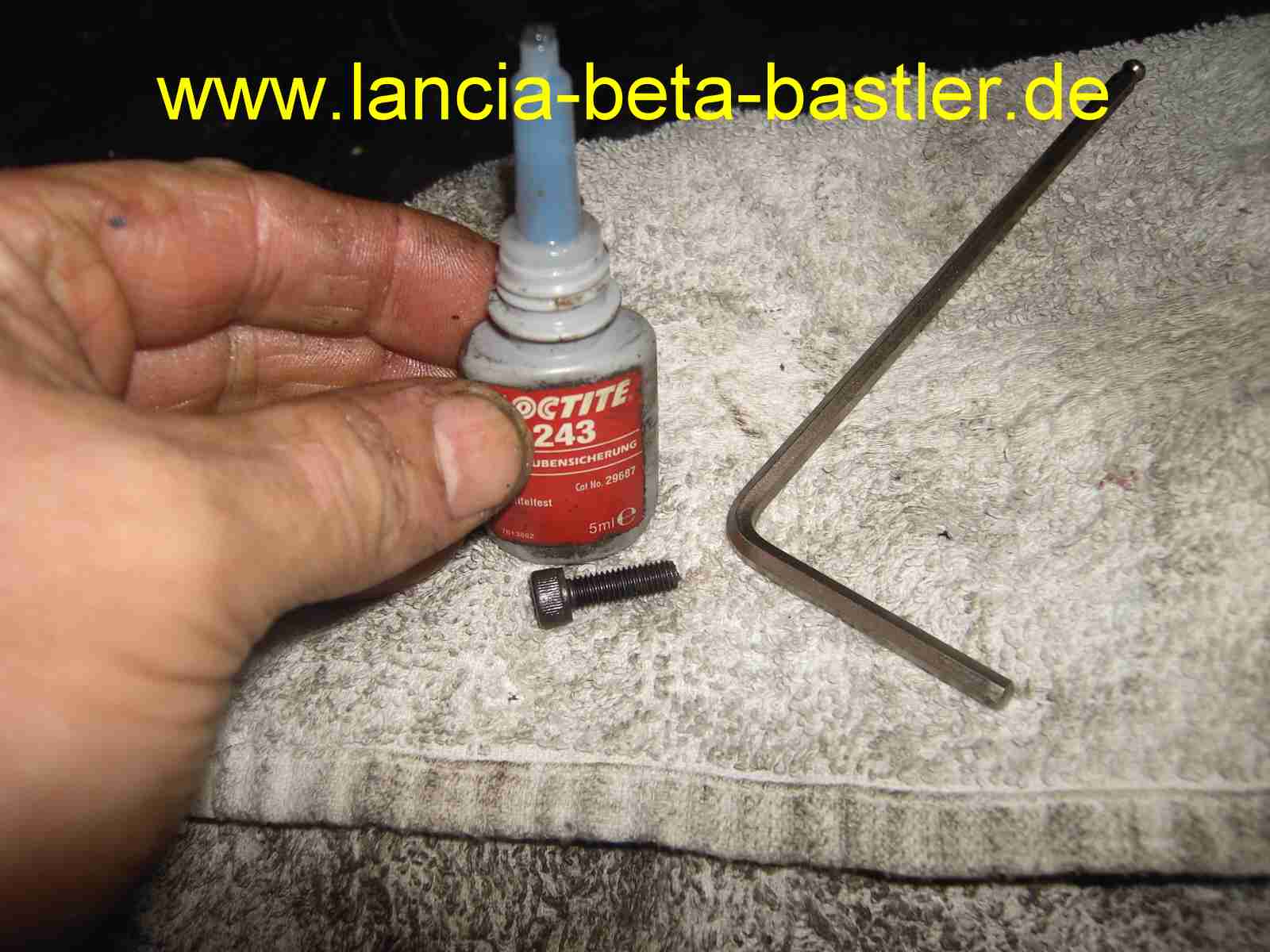 Sicherungsschraube Bremszange hinten Lancia Beta Sicherungsschraube Bremszange hinten Lancia Beta