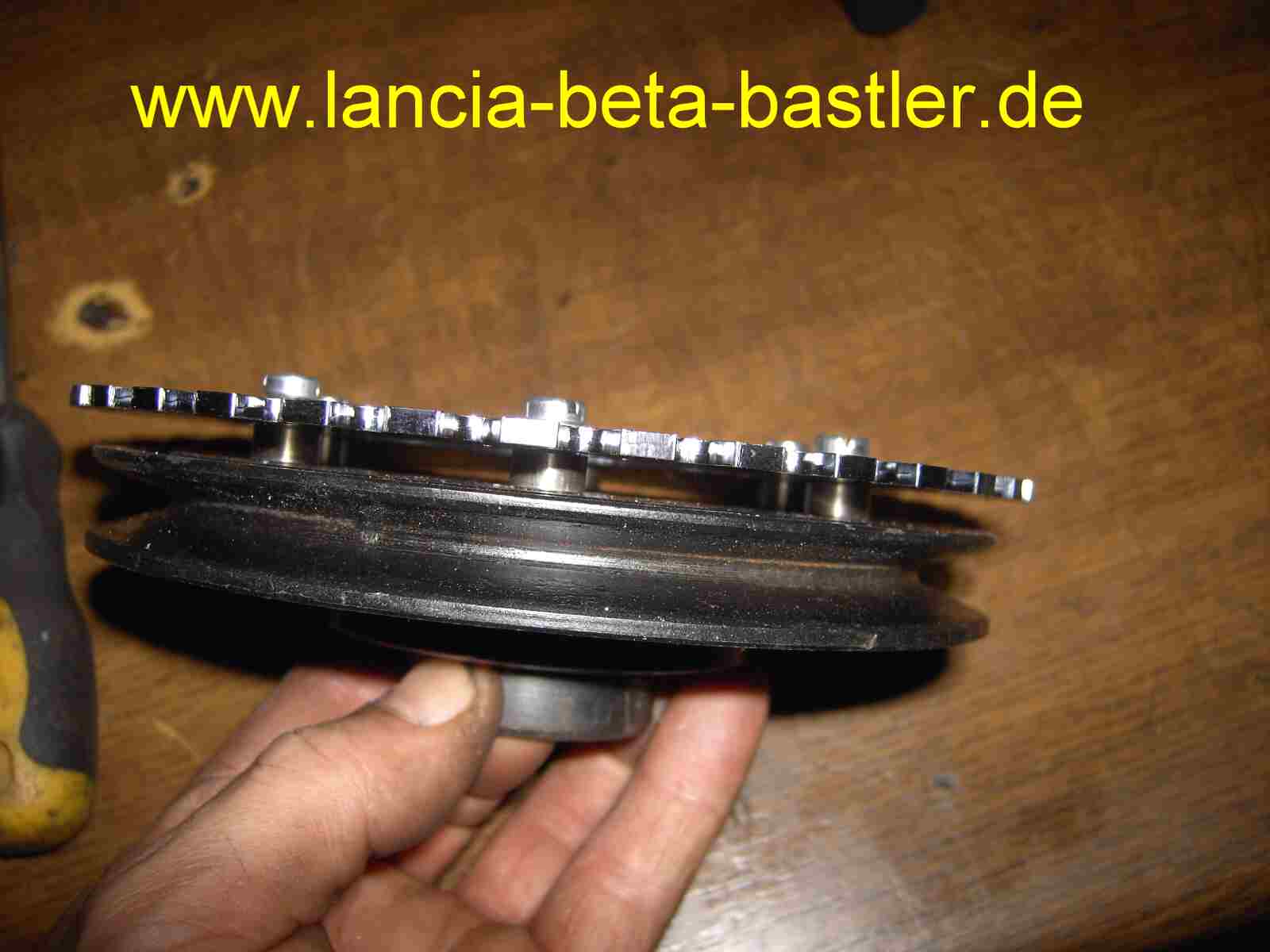 Triggerrad mit Buchsen Triggerrad mit Buchsen