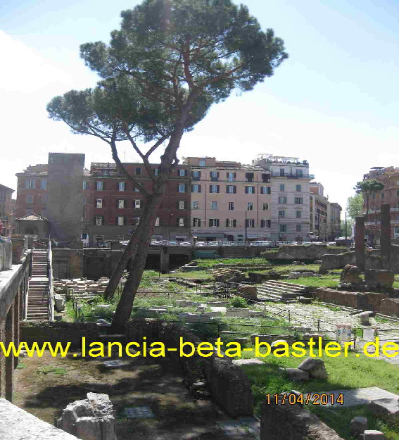 IMG_0151 IMG_0151