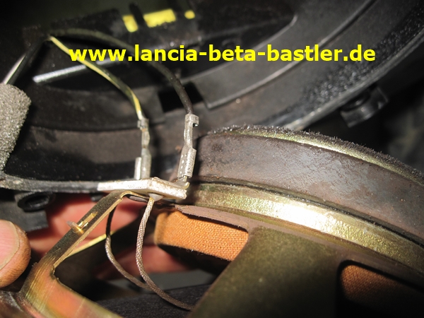 IMG_8018 IMG_8018